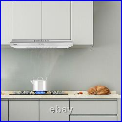 30 Inch Kitchen Range Hood Stainless Steel Glass Panel Kitchen Ventilation NEW