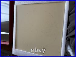 FRIGIDAIRE GAS RANGE Stone Baked Pizza Set A28882102 SEE DESCRIPTION