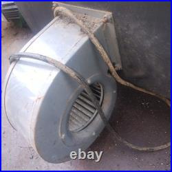 Freestanding Wood Coal Stove with blower Citation model by Salvo Machinery MA