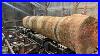 Saw_Milling_A_Bunch_Of_Sweet_Sounding_Poplar_Plus_2_Big_Boys_113_01_wvs
